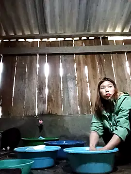 Ngocmi909 online show from December 17, 2025, 1:44 am