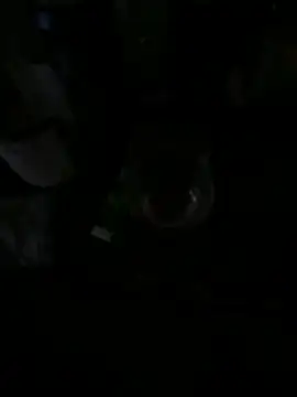 Eflctt online show from December 19, 2025, 4:36 pm