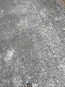 Senurak99 online show from November 16, 2025, 7:03 am