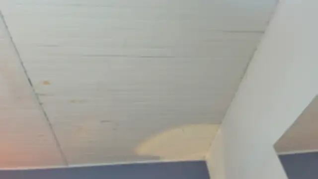 BellaBoobs  online show from October 3, 2025, 7:44 pm