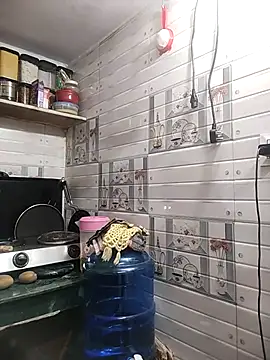 Snapshot of meenu_bhabhi547 chatting on April 15, 2026, 1:56 am meenu bhabhi547 online show from April 15, 2026, 1:56 am