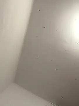 Snapshot of davidxxx099 chatting on November 22, 2025, 10:31 pm davidxxx099 online show from November 22, 2025, 10:31 pm