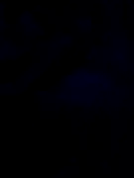 changavega online show from October 31, 2025, 12:44 am