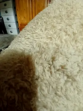 Snapshot of Ahalm chatting on November 16, 2025, 2:33 pm Ahalm online show from November 16, 2025, 2:33 pm