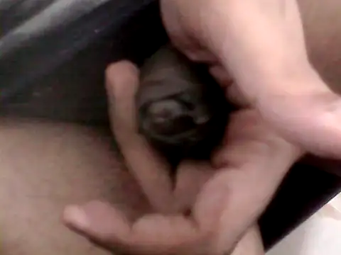 Bakasur 19 online show from October 9, 2025, 3:32 pm