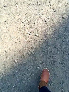 Snapshot of beerant chatting on November 16, 2025, 5:35 am beerant online show from November 16, 2025, 5:35 am