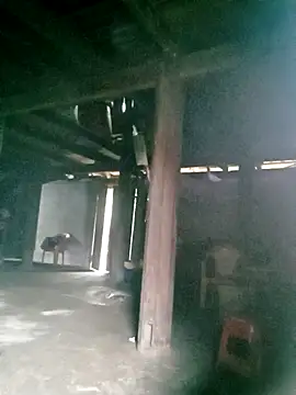 ngan-cute online show from October 16, 2025, 1:17 am