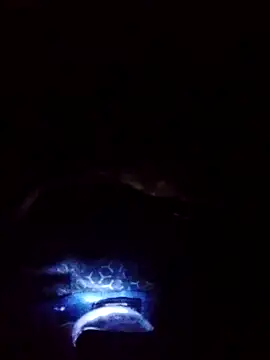 Snapshot of gostoso_delas_2 chatting on September 17, 2025, 4:19 pm gostoso delas 2 online show from September 17, 2025, 4:19 pm