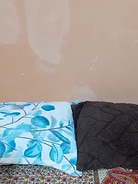 siya rani67 online show from April 2, 2026, 1:47 am