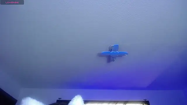  Charlotte Collins  online show from February 17, 2026, 2:35 pm