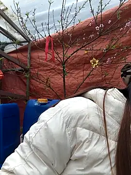 Snapshot of liu-liusexy chatting on February 18, 2026, 6:20 am liu-liusexy online show from February 18, 2026, 6:20 am