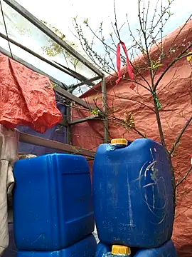 Snapshot of liu-liusexy chatting on February 19, 2026, 8:21 am liu-liusexy online show from February 19, 2026, 8:21 am