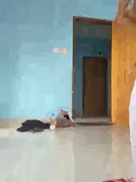 Arohi 51 online show from October 26, 2025, 3:56 am