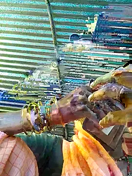 Pooja750 online show from September 14, 2025, 3:49 am