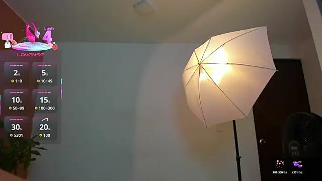  online show from December 1, 2025, 1:16 pm