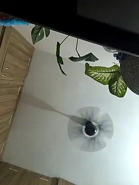 Spoorthi6 Kannada Telugu online show from March 8, 2026, 4:33 pm