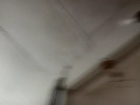 isabella brown1 online show from March 19, 2026, 11:09 pm