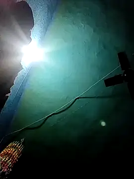 Nehaja33e online show from November 25, 2025, 11:49 pm