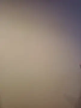 AlphaGymMale online show from November 11, 2025, 11:32 am