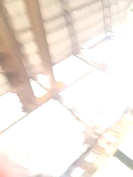 xyz-indian online show from October 11, 2025, 3:50 am