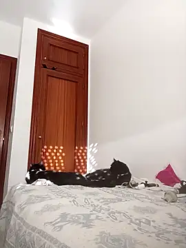 oscartres online show from November 2, 2025, 3:25 pm