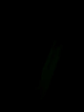 Snapshot of Marleymols chatting on December 2, 2025, 1:55 am Marleymols online show from December 2, 2025, 1:55 am