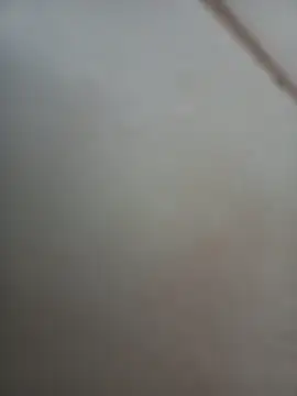 Jobson40 online show from November 1, 2025, 12:01 am