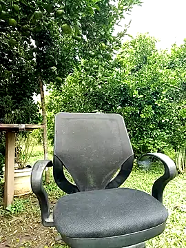 Snapshot of AlphaAlterX chatting on October 12, 2025, 1:32 pm AlphaAlterX online show from October 12, 2025, 1:32 pm