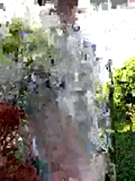 AlphaAlterX online show from December 20, 2025, 12:34 pm