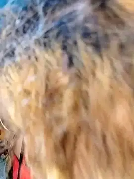 Snapshot of hemilynthomas2467 chatting on February 1, 2026, 7:23 pm hemilynthomas2467 online show from February 1, 2026, 7:23 pm