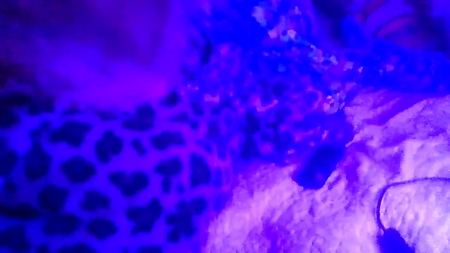 prettymaa online show from February 19, 2026, 6:53 am