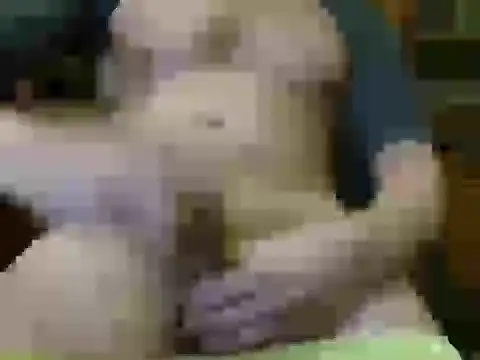 Snapshot of italian_max_sex chatting on November 21, 2025, 11:25 pm italian max sex online show from November 21, 2025, 11:25 pm