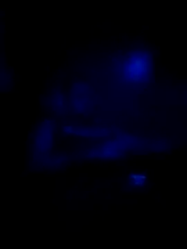 Snapshot of johnboones10 chatting on November 16, 2025, 8:31 am johnboones10 online show from November 16, 2025, 8:31 am