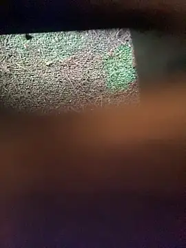 Adele Pinkk online show from November 12, 2025, 12:16 pm