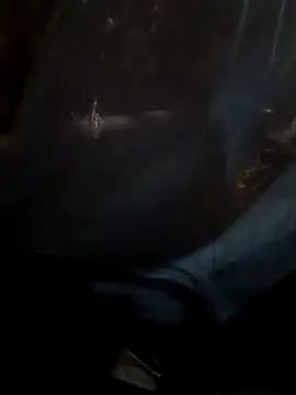 Sapna cutt online show from September 17, 2025, 8:21 pm