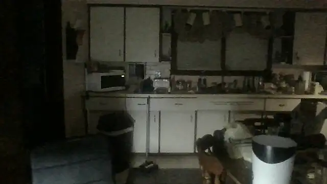 Snapshot of mapsterdaman chatting on July 21, 2026, 8:16 am mapsterdaman online show from July 21, 2026, 8:16 am