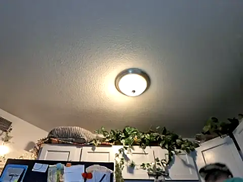 Snapshot of WWGD69 chatting on March 3, 2026, 2:28 am WWGD69 online show from March 3, 2026, 2:28 am