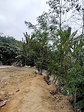 Tin tanny online show from February 6, 2026, 12:37 am