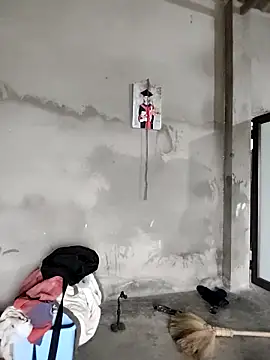 Tin tanny online show from February 11, 2026, 1:10 am