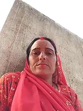 Jalebi bay online show from November 23, 2025, 10:04 am