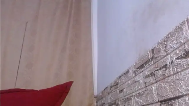 Snapshot of Bicky_24 chatting on May 26, 2026, 8:54 am Bicky 24 online show from May 26, 2026, 8:54 am