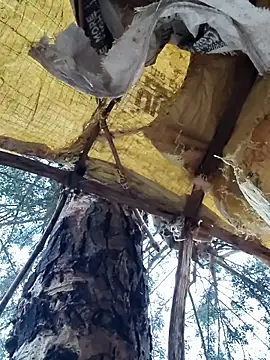 Janvi Jaitly online show from November 23, 2025, 1:16 am