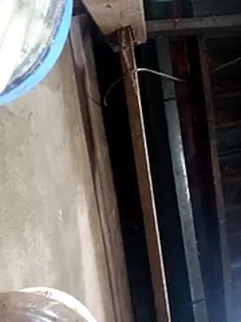 siki-00 online show from October 21, 2025, 3:40 am