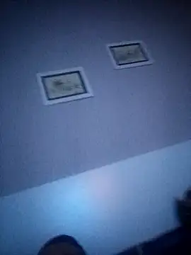 Snapshot of NiceBadgera chatting on September 21, 2025, 1:18 am NiceBadgera online show from September 21, 2025, 1:18 am