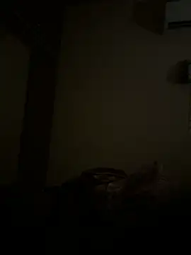 Chaitu-teluguhot online show from December 16, 2025, 10:04 pm