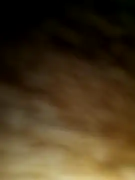 Snapshot of WolfMenSL chatting on October 8, 2025, 3:37 am WolfMenSL online show from October 8, 2025, 3:37 am