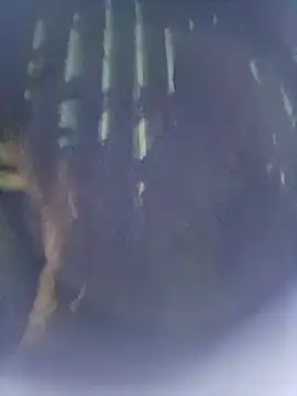 Snapshot of 8133vaibhavh chatting on October 9, 2025, 2:48 pm 8133vaibhavh online show from October 9, 2025, 2:48 pm