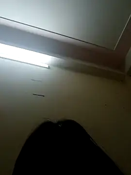 Snapshot of kata-00 chatting on February 22, 2026, 4:02 am kata-00 online show from February 22, 2026, 4:02 am