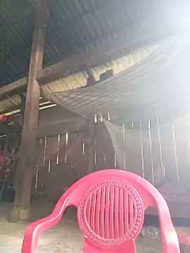 riso-00 online show from October 21, 2025, 5:08 am