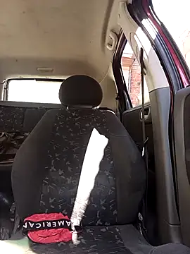 Snapshot of IssuedEcho chatting on February 28, 2026, 11:44 am IssuedEcho online show from February 28, 2026, 11:44 am